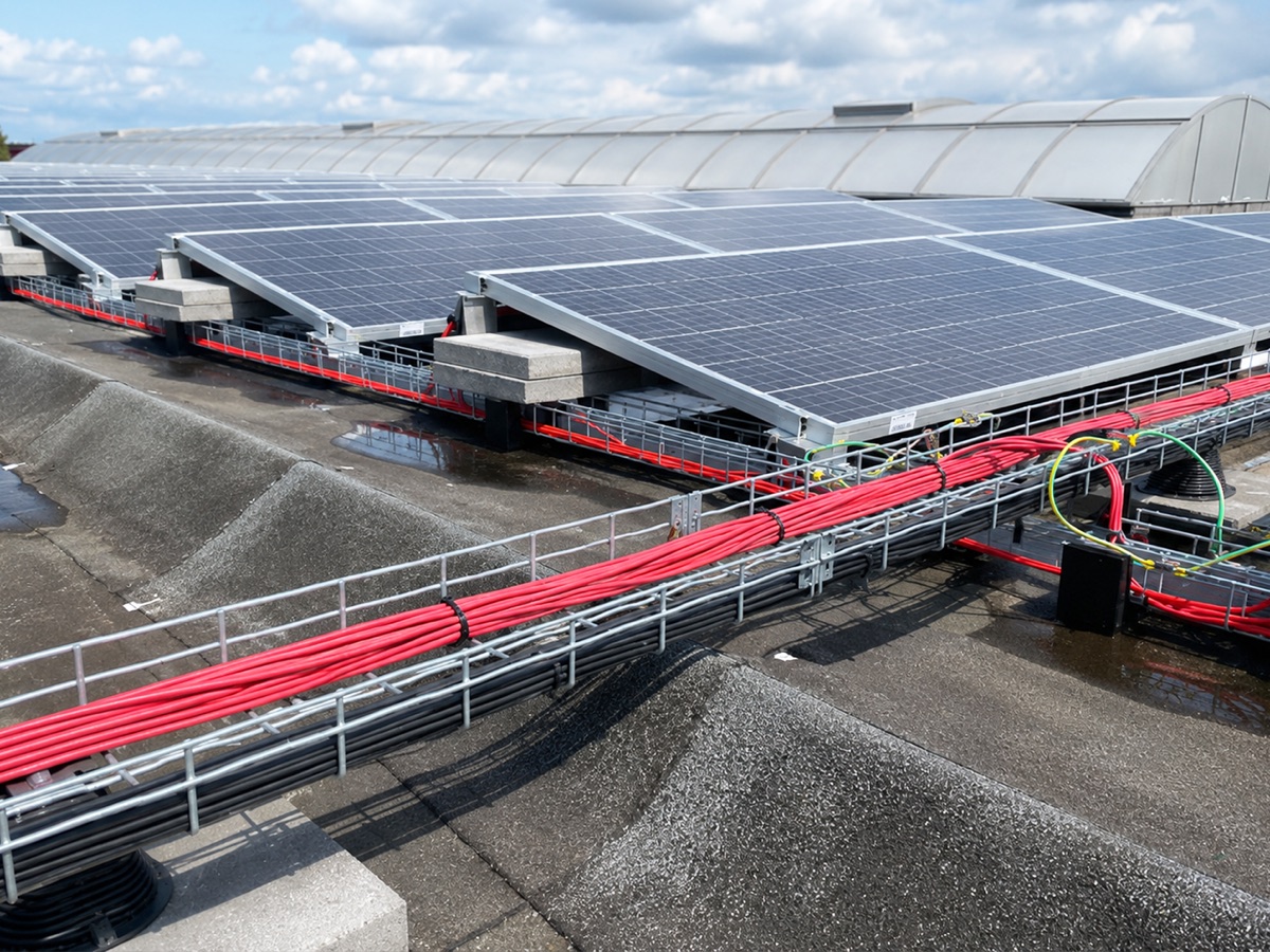 Energia Solar & GD